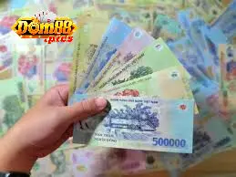 Vài nét về dom88